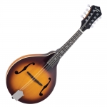 Recording King A-style mandolin, Tobacco Burst