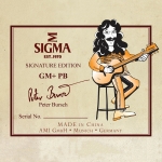Sigma akusztikus gitár, signature