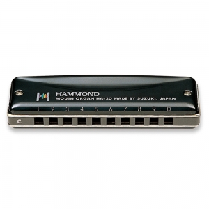 Suzuki Hammond Bb